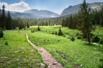 Colorado Mountain Hiking Trail